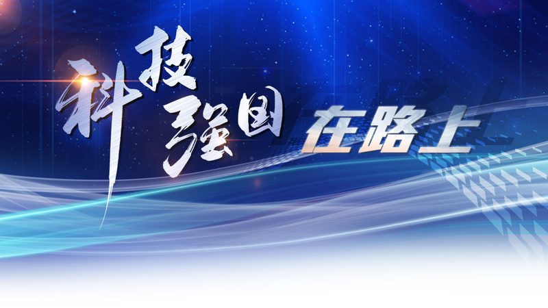 企业BI系统选型：揭秘厂家批发背后的关键要素